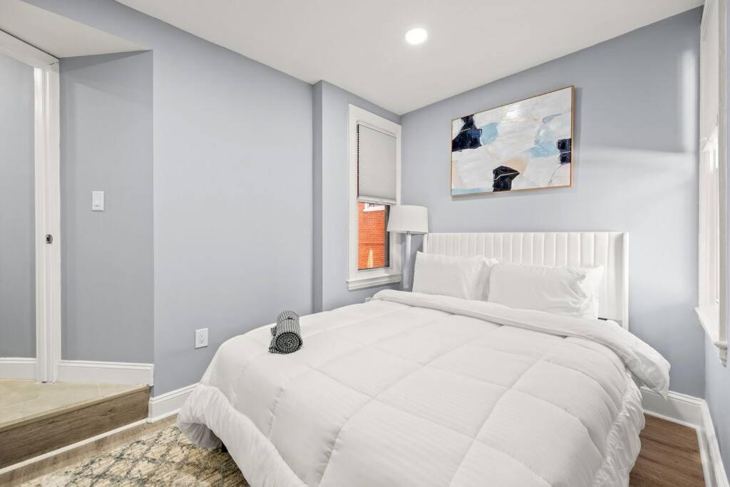 New! Cozy Apt In Center City! Philadelphia Exteriör bild